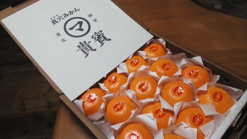 c0326723_23551930.jpg