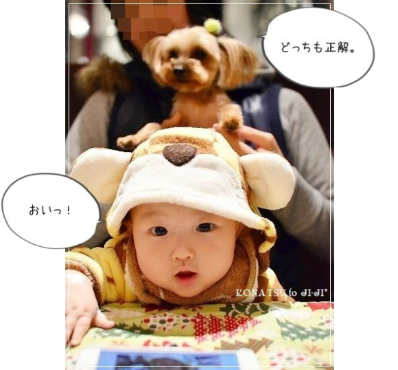 d0179828_15313944.png