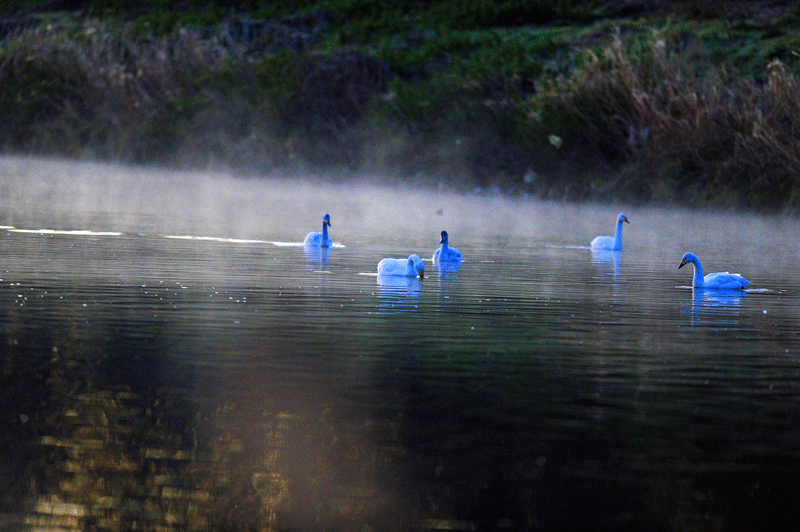 d0290240_11293107.gif