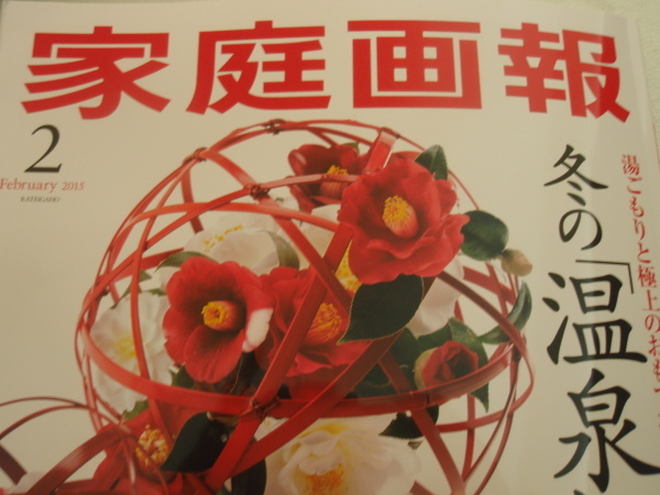 耐熱のうつわ 家庭画報に_b0132442_17255184.jpg