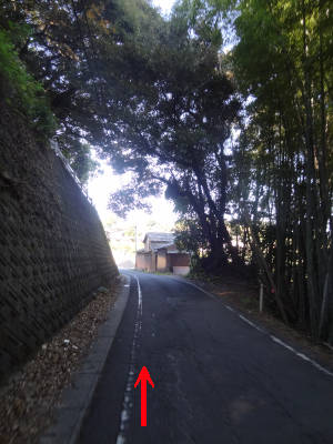 e0033751_19244575.jpg