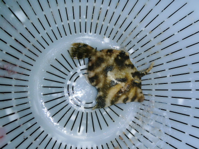 c0180460_11152.jpg