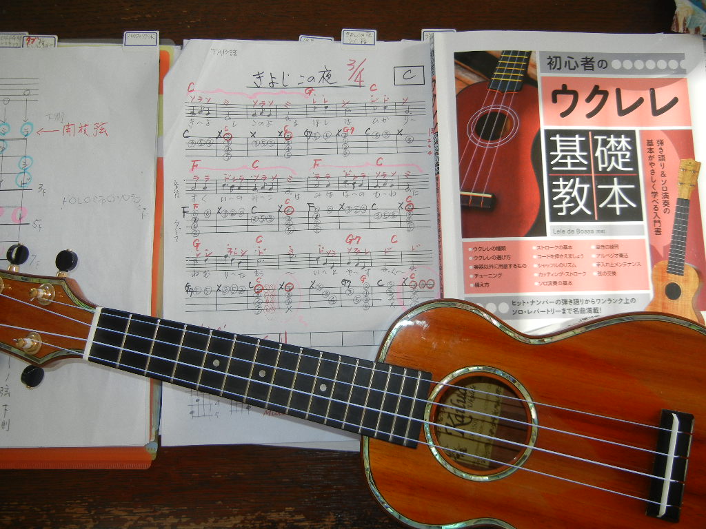 ’14,12,27(土)一人散歩にウクレレの練習に水彩画!_f0060461_12151296.jpg