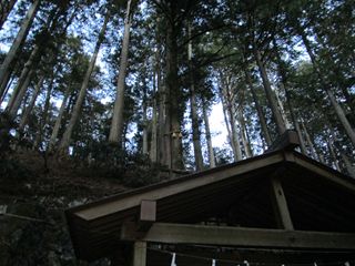 関東最強のパワースポット　秩父・三峯神社へGO☆☆☆_d0045362_11243748.jpg