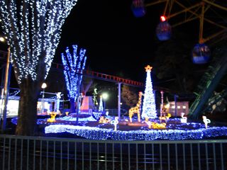 d0045362_1445667.jpg