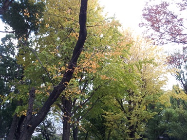 f0148563_20522353.jpg