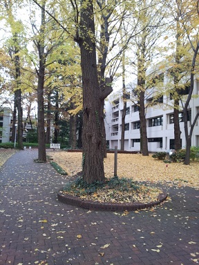 f0148563_20524453.jpg