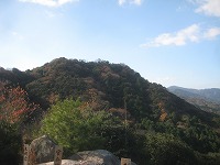 a0093965_2123050.jpg
