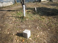 a0093965_21362555.jpg