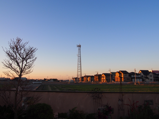 b0194267_19395826.jpg