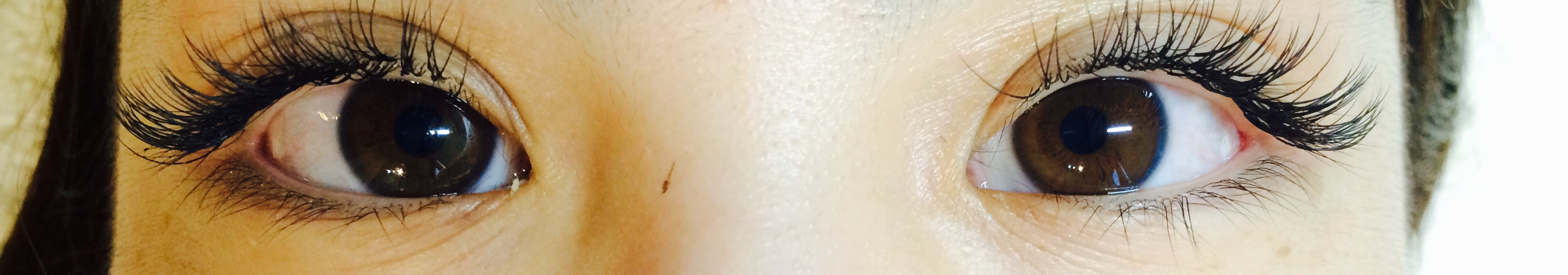 c0178469_12363056.jpg