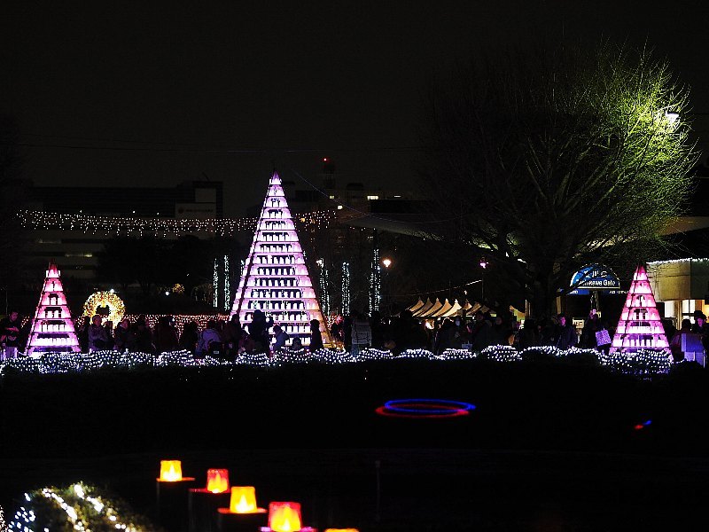 昭和記念公園　Winter Vista Illumination 2014 その１_a0330871_09431631.jpg