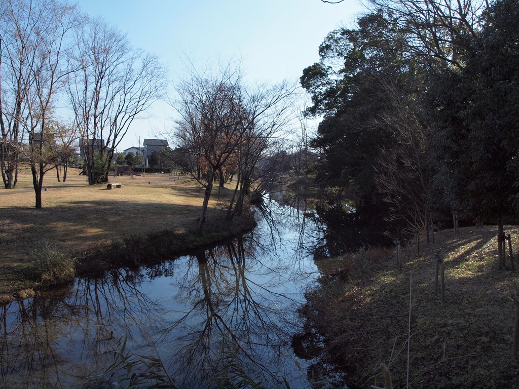 『河跡湖(かせきこ)公園の冬風景』_d0054276_20161317.jpg