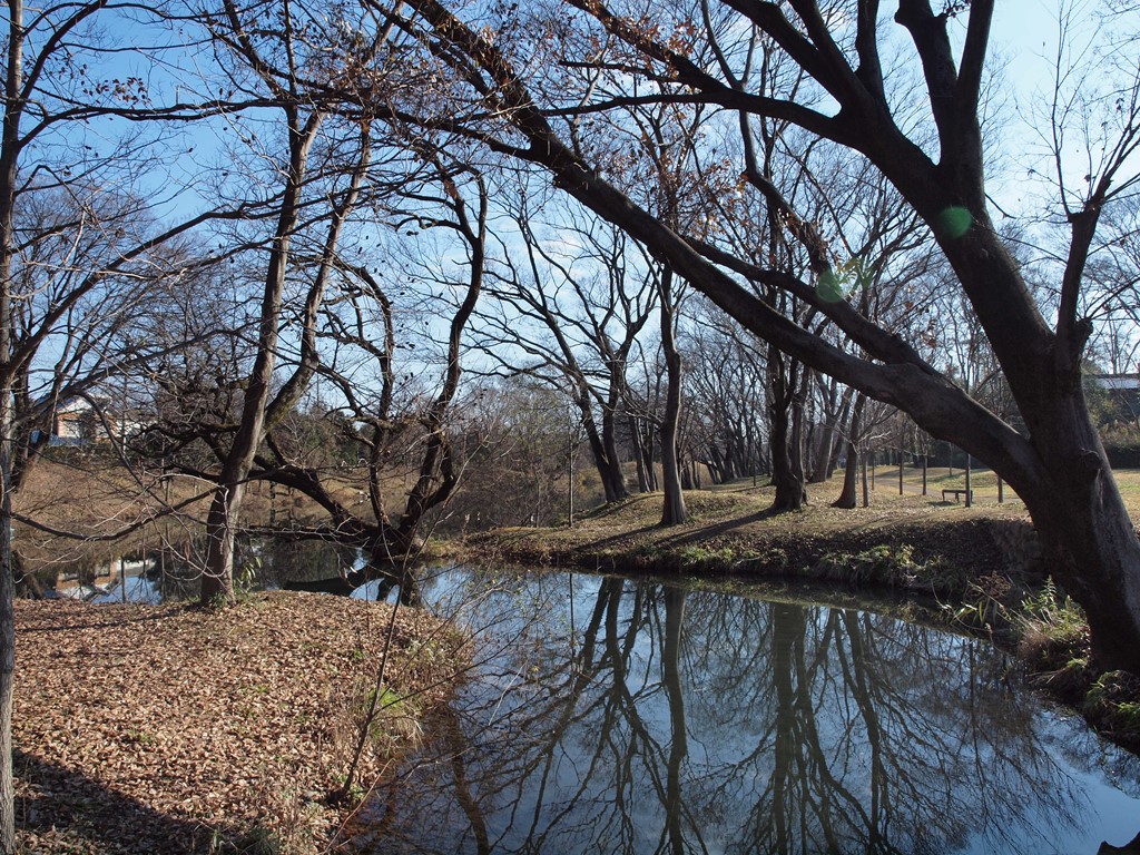 『河跡湖(かせきこ)公園の冬風景』_d0054276_20171227.jpg
