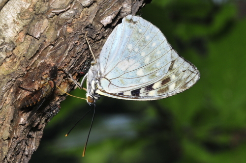 f0348480_17432639.jpg