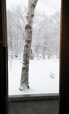 a0146295_1629331.jpg