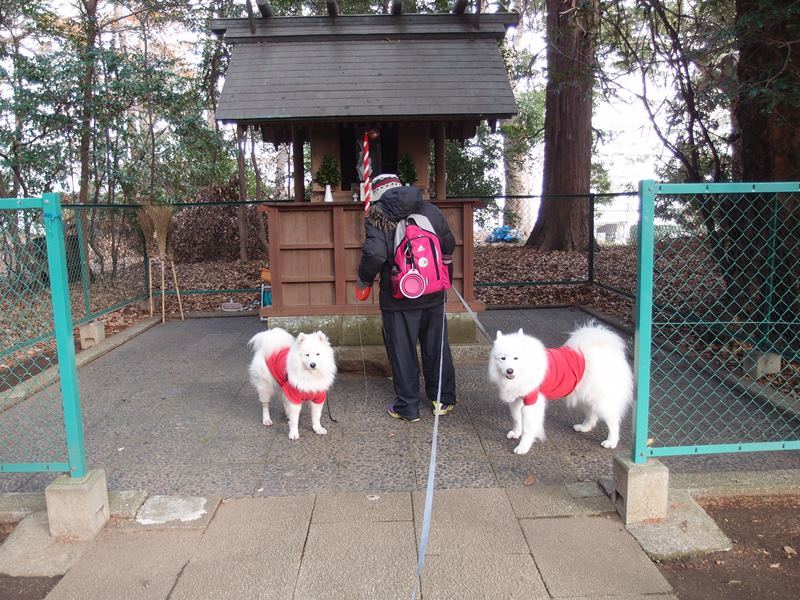 今日からお休み　　１２月２８日　[日]_e0018604_17215440.jpg