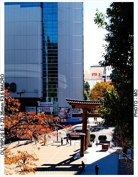c0185705_16322266.jpg