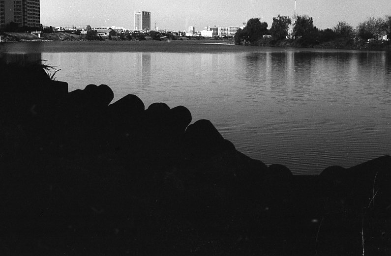 c0171206_8423857.jpg