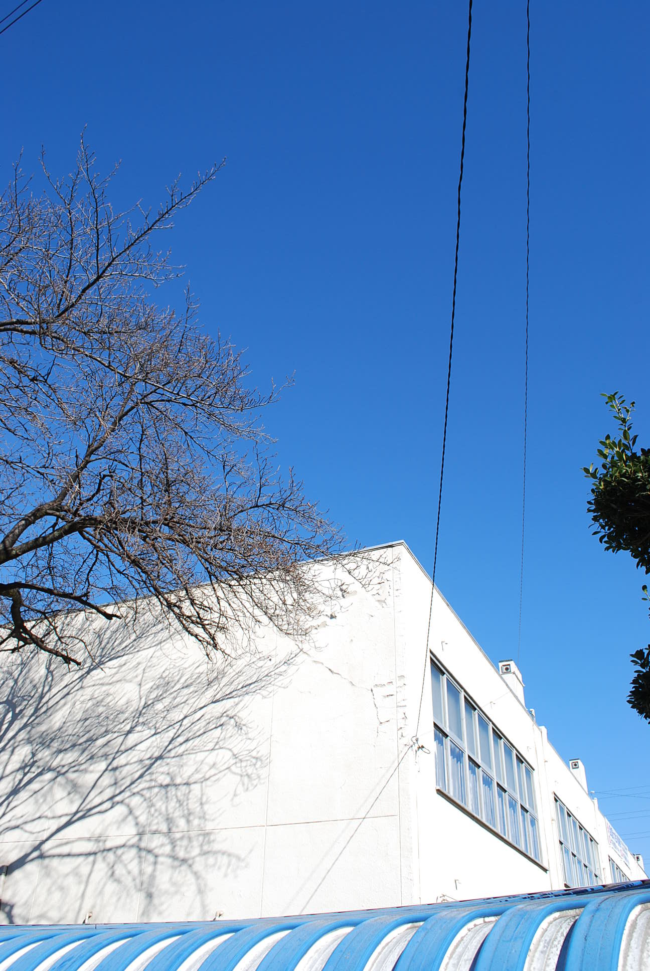 埼玉県上尾市立上尾中学校(建築家・関根要太郎作品研究)_f0142606_17484797.jpg