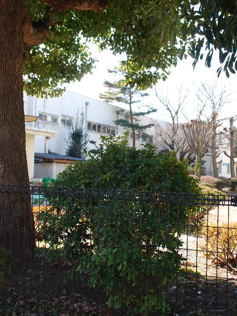 埼玉県上尾市立上尾中学校(建築家・関根要太郎作品研究)_f0142606_182639.jpg