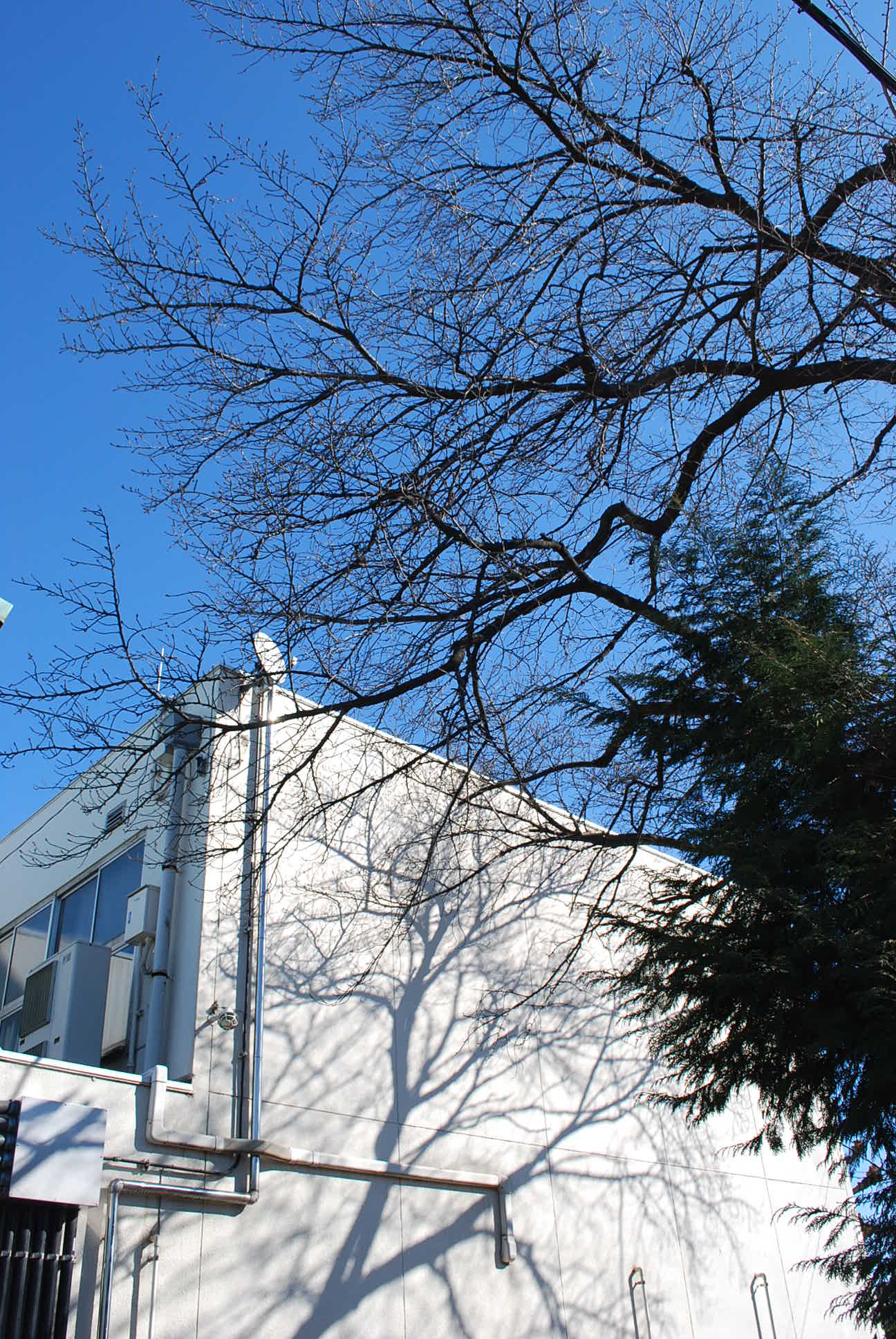 埼玉県上尾市立上尾中学校(建築家・関根要太郎作品研究)_f0142606_188134.jpg