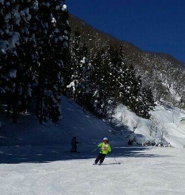 c0326807_1817159.jpg