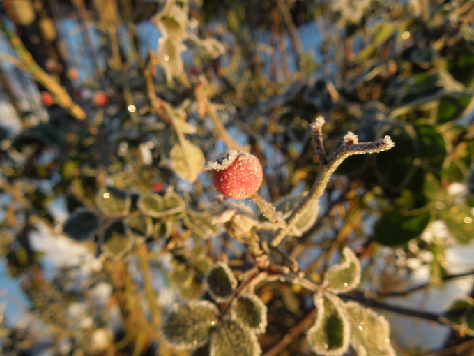 f0297809_2318722.jpg