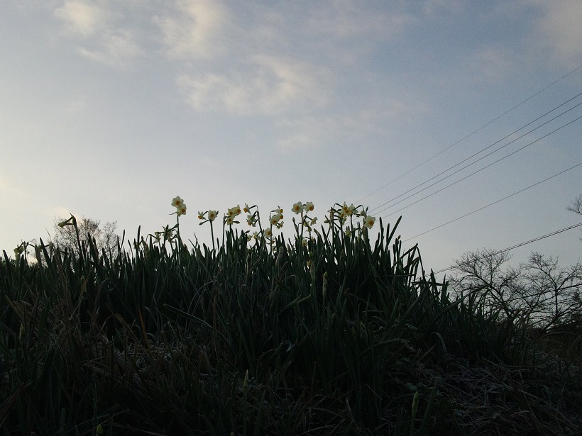 f0228619_859645.jpg