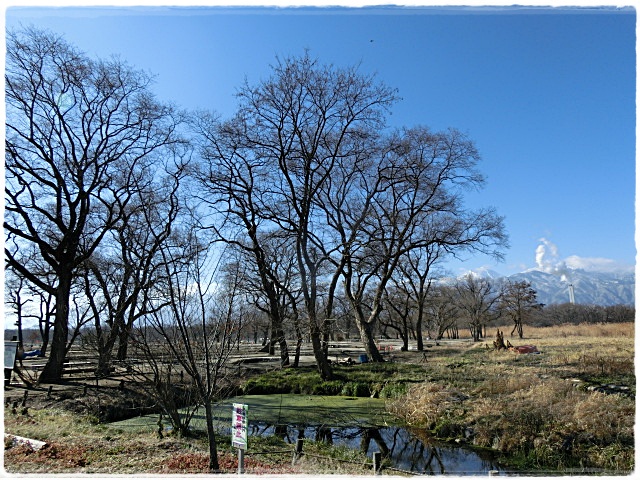 e0234924_13134071.jpg