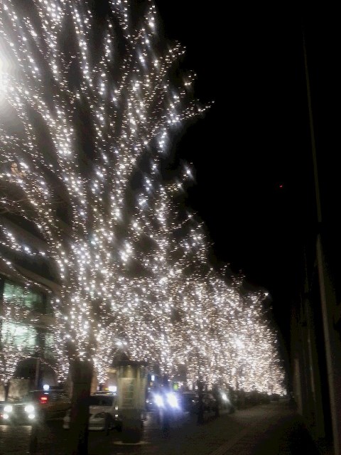 c0109726_11505780.jpg