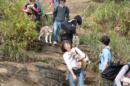 第17回マザーウルフ遠足鎌倉天園コースレポート_e0191026_19323357.jpg