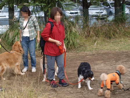 第17回マザーウルフ遠足鎌倉天園コースレポート_e0191026_19334444.jpg