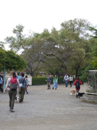 第17回マザーウルフ遠足鎌倉天園コースレポート_e0191026_19563513.jpg