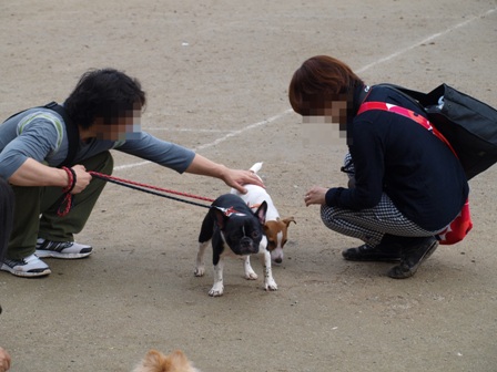 第17回マザーウルフ遠足鎌倉天園コースレポート_e0191026_19583392.jpg