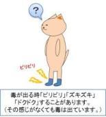 靴下が溶けて穴があく場所 佐賀 嬉野温泉きららカフェ