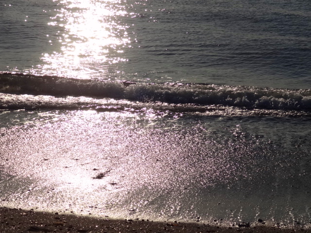 e0016828_1159329.jpg