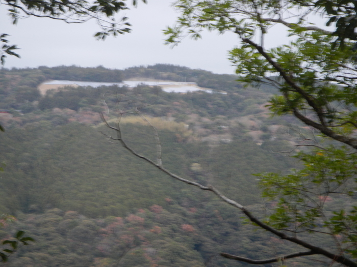 a0248230_20524087.jpg