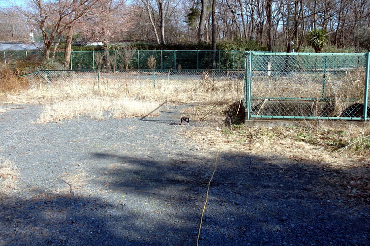e0325030_22291978.jpg