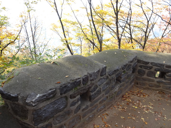 d0219834_6515345.jpg