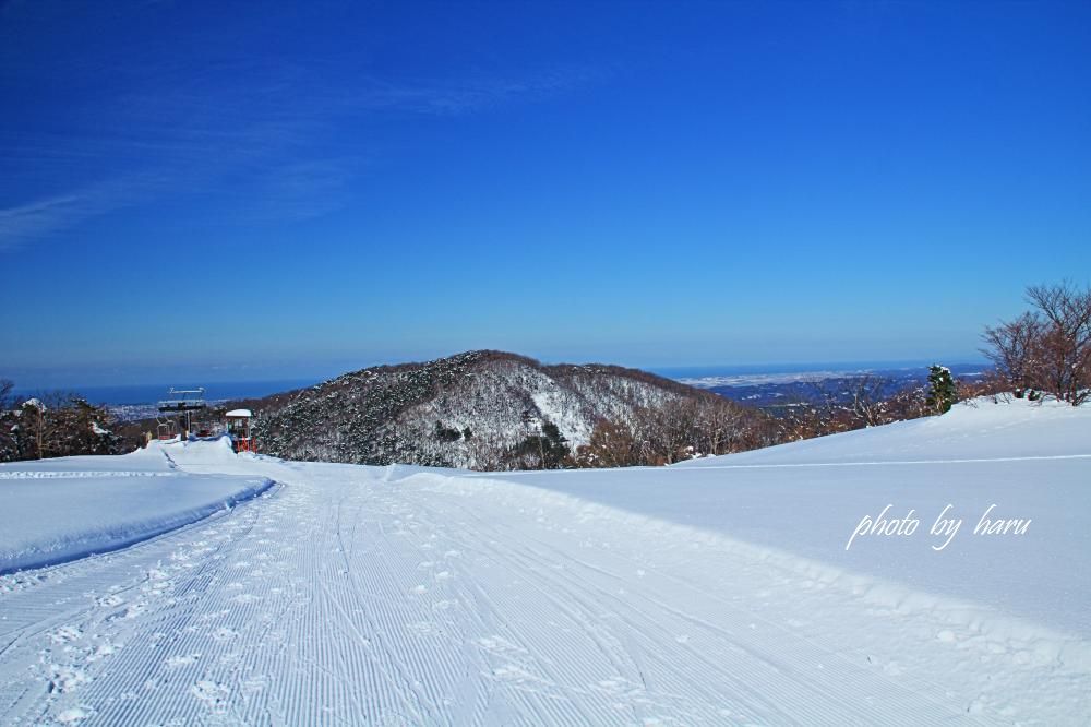 f0297537_20131898.jpg