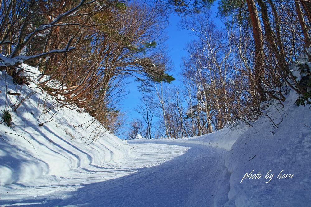 f0297537_20132288.jpg