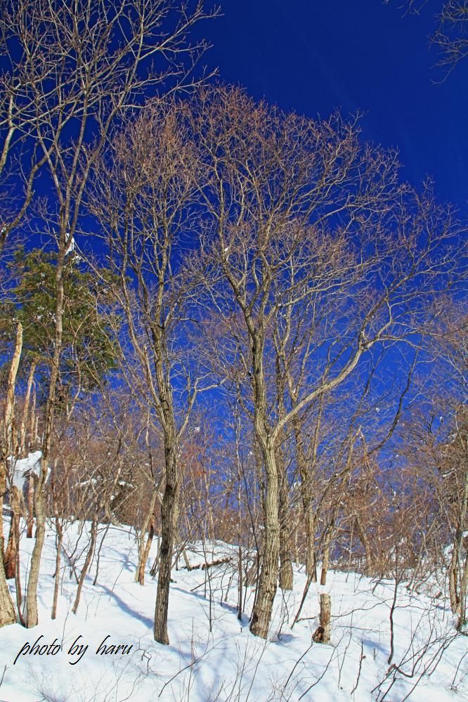 f0297537_20132618.jpg