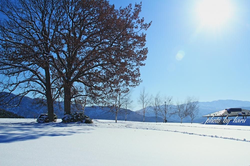 f0297537_20133573.jpg