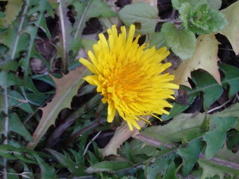 a0054240_11394663.jpg