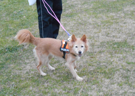 c0026843_20583562.png