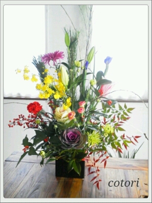 正月花 Cotori 正月花 Cotori