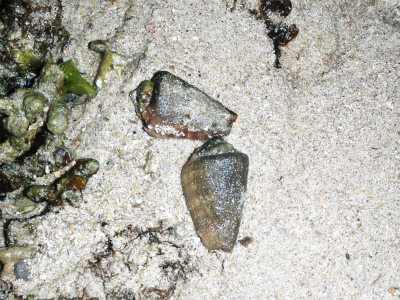 c0180460_08257.jpg