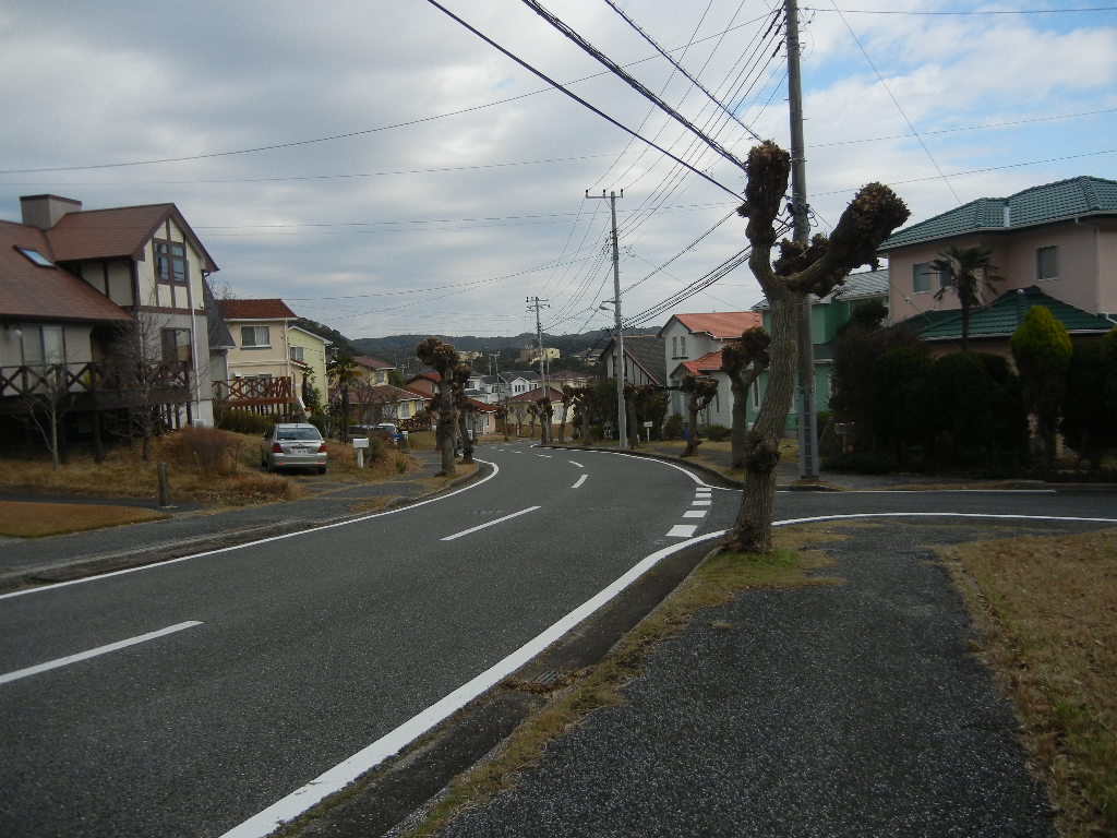 ’14,12,28(日)今日も朝2でお散歩です!_f0060461_14214285.jpg