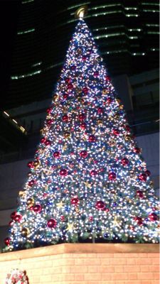 東京駅 & カレッタ汐留 ⭐️イルミネーション_c0151965_1842965.jpg